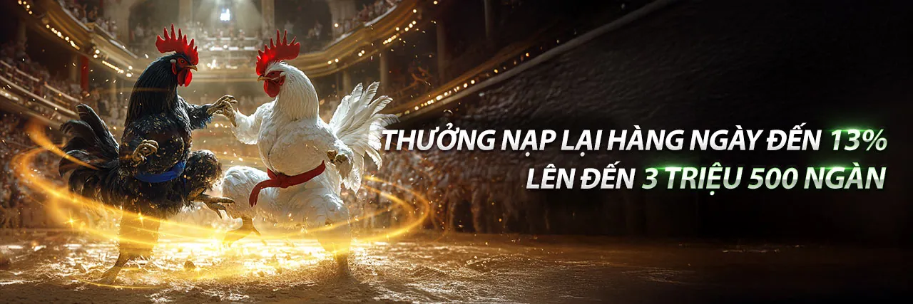 Đá gà trực tiếp Thomo 15/8 tại iBet68